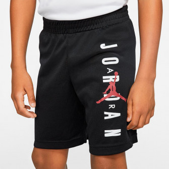 Air Jordan Vert Mesh Shorts ''Black''