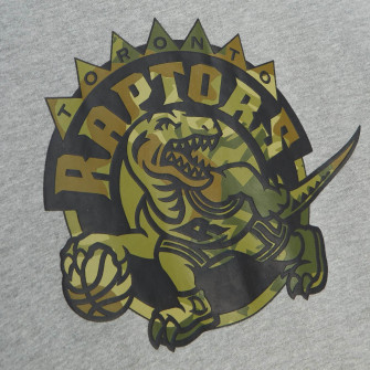 M&N NBA Toronto Raptors Green Camo Hoodie ''Grey''