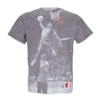 M&N NBA NY Knicks Nate Robinson Above the Rim T-Shirt ''Grey''