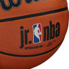 Wilson Jr. NBA Authentic Outdoor Basketball (5)