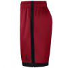 Kratke hlače Jordan Shimmer ''Gym Red''