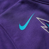 Nike Logo Charlotte Hornets 