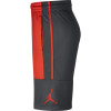 Kratke hlače Air Jordan Rise Solid ''Orange Grey''