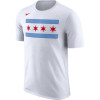 Kratka majica Nike NBA Dri-Fit Chicago Bulls ES CE ''White''