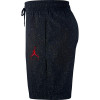 Kopalne hlače Air Jordan Jumpman Cement Poolside ''Black''