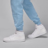 Air Jordan Essentials Fleece Pants ''Blue''
