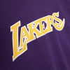 M&N NBA LA Lakers Gameday Shortsleeve Hoodie ''Purple''