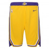 Nike NBA Los Angeles Lakers Icon Edition 2020 Swingman Kids Shorts ''Yellow''