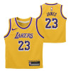 Nike NBA LA Lakers Lebron James Kids Jersey ''Yellow''