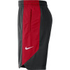 Kratke hlače Nike Dry NBA Chicago Bulls Practice