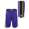 Air Jordan NBA Swingman Los Angeles Lakers Kids Shorts ''Purple''