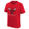 Nike Chicago Bulls Crafted Logo Kids T-Shirt ''University Red''